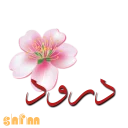 Video sticker ✋ shfm