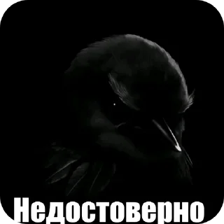 Video sticker 🖼 птички 2 (lerixxqwz)