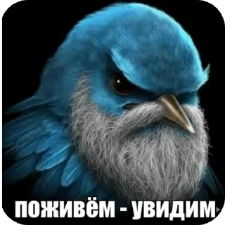 Telegram sticker 🐦 птички 2 (lerixxqwz)