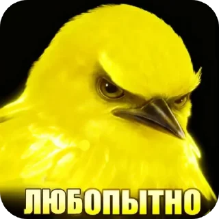 Telegram sticker 🖼 птички 2 (lerixxqwz)