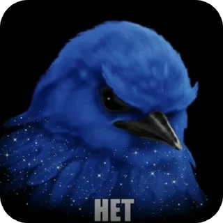 Video sticker 🪐 птички 2 (lerixxqwz)