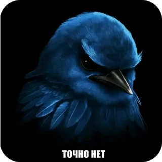 Video sticker 🐦 птички 2 (lerixxqwz)