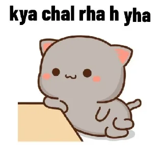 Telegram sticker 🧐 @Opstickerpacks 🔥 chibi cat 💕💫