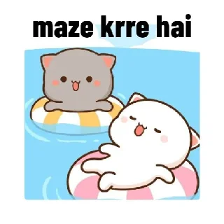 Telegram sticker 😛 @Opstickerpacks 🔥 chibi cat 💕💫