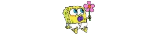 Video sticker 🍼 𓄂ʍ⃗ᴇᴍ͢ᴇ @HANGSEED⬝