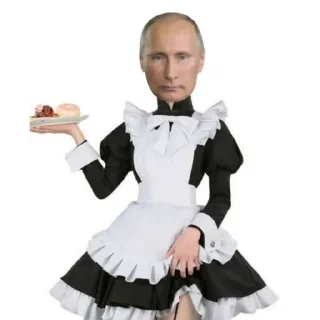 Telegram sticker 🧥 Мемтт