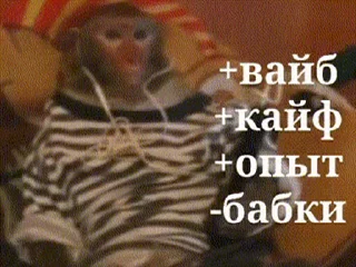 Video sticker 😞 🤯 Розыгрыш ламбы:  @udachnik_channel