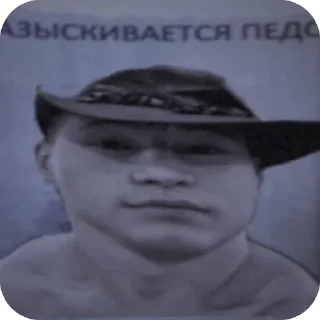 Sticker 🫥 Письки сиськи