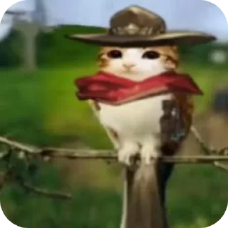 Sticker 🌟 Meowl by @Leotaa2 :: @fStikBot