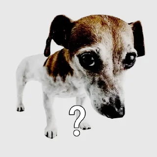 Sticker 🌟 Пирипурипа :: @fStikBot