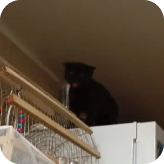 Telegram sticker 🤪 Лютые стикеры