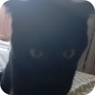 Telegram sticker 😡 Лютые стикеры