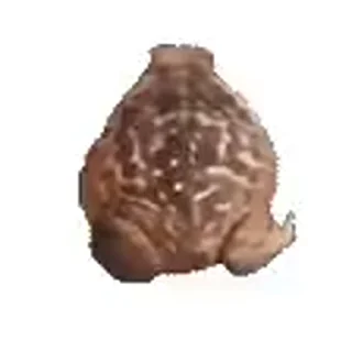 Телеграм стикер 🐸 youngslashprod fav :: @fStikBot