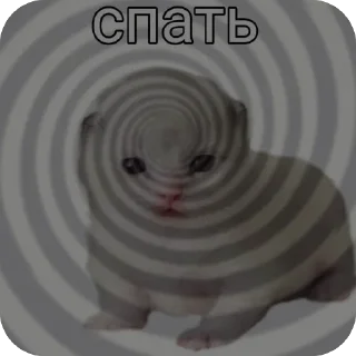 Video sticker 🫥 Спать спать спать спать