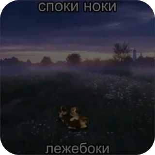 Video sticker 🫥 Спать спать спать спать