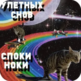 Telegram sticker 👍 Спать спать спать спать