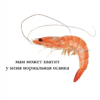 Telegram sticker 🤩 Больше стиков тут: @stikery4