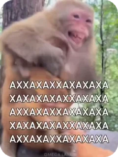 Video sticker 🌟 🦍 Tremendous Gorilla :: @fStikBot