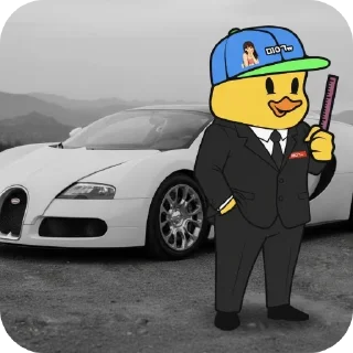 Video sticker 🚗 뜨티커