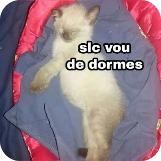 Telegram sticker 😴 Noiado @TheAkari_x