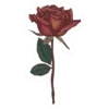 Video sticker 🌹 VINTAGE by @svitce...