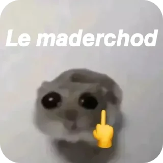 Telegram sticker 🧸 ​@DevvBotsupport DEV ON TOP