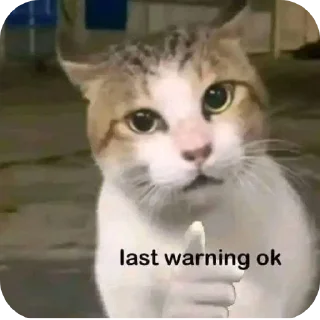 Telegram sticker 🐱 @II_KUSH_II     CHANNEL @ABOUTKUSH