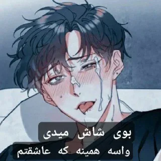 Video sticker ❤️ گاگاگگا