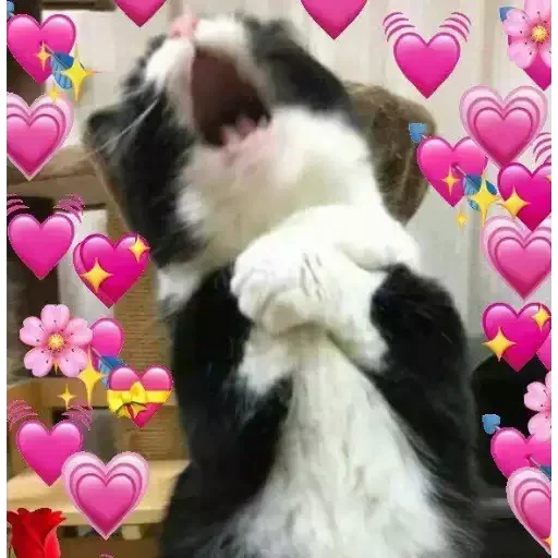 Telegram sticker ❤ @BongBaddie