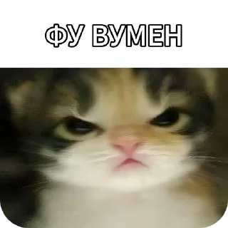 Sticker 👍 Самые лучшие стики