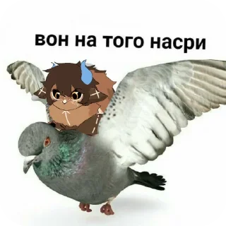 Telegram sticker 🐦 Жопогрыз