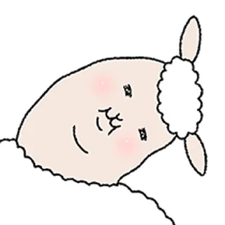 Video sticker ⭐ 알파카 아니양 @moe_sticker_bot