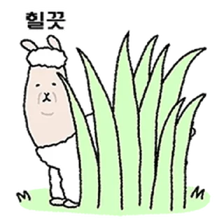 Telegram sticker ⭐ 알파카 아니양 @moe_sticker_bot