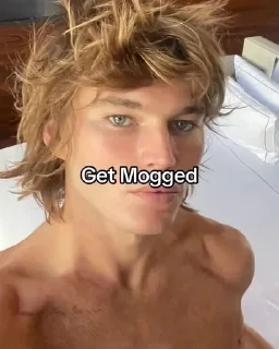 Telegram sticker 🌟 Get Mogged @Spider_Dimon :: @fStikBot