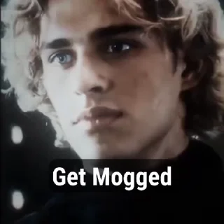 Video sticker 🌟 Get Mogged @Spider_Dimon :: @fStikBot