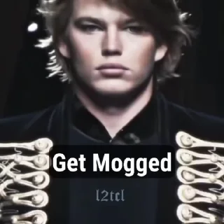 Video sticker 🌟 Get Mogged @Spider_Dimon :: @fStikBot