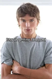 Telegram sticker 🌟 Get Mogged @Spider_Dimon :: @fStikBot