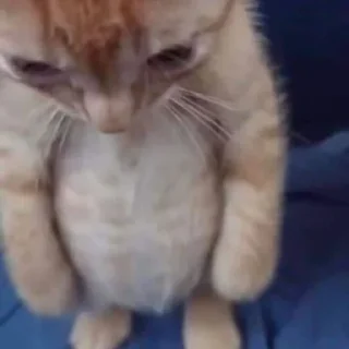 Sticker 😔 daily mood