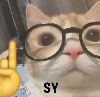 Telegram sticker 🤓 daily mood