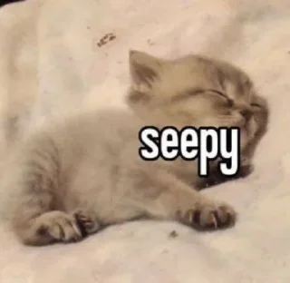 Telegram sticker 💤 daily mood