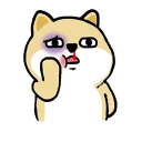Telegram sticker 🤕 little_fat_shibainu_full