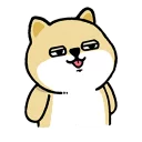 Telegram sticker 😛 little_fat_shibainu_full