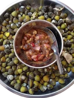 Video sticker 🐚 aiwoma_66👋🏼