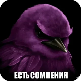 Телеграм стикер 🐦 Злые птички покусали яички