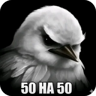 Телеграм стикер 🐦 Злые птички покусали яички