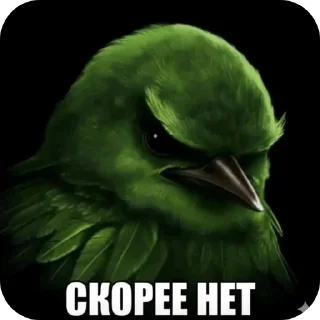 Video sticker 🐦 Злые птички покусали яички