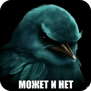 Телеграм стикер 🐦 Злые птички покусали яички