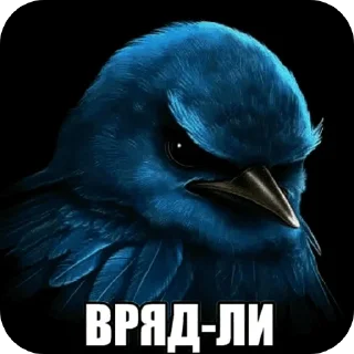 Sticker 🐦 Злые птички покусали яички