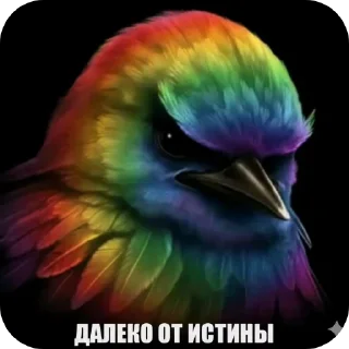 Телеграм стикер 🐦 Злые птички покусали яички