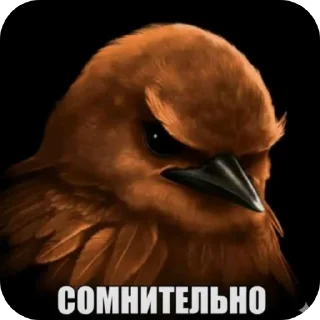 Телеграм стикер 🐦 Злые птички покусали яички
